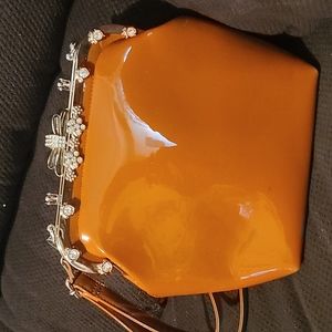 Carmel In color purse